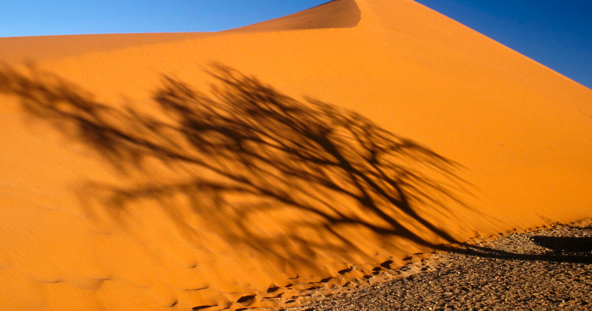 Почему в пустыне. Desert Shadow. Фотография вид РС пустынную солнечную улицу.