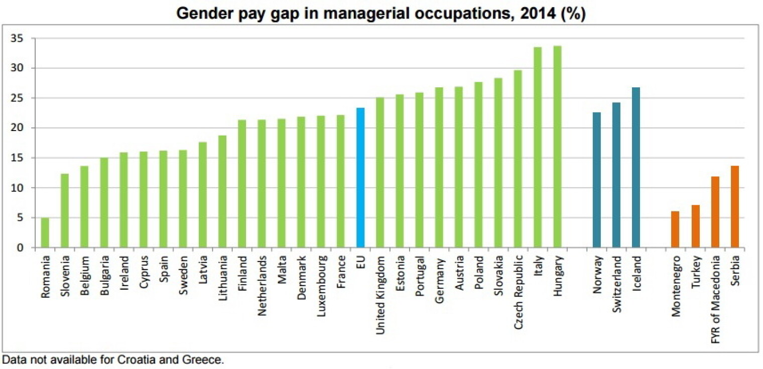 Доход ес. Процент женщин на руководящих должностях в России. Гендерный разрыв в заработной плате Азербайджан. Гендерном разрыве в оплате труда в странах ЕС. Гендерная зарплата в Бельгии.