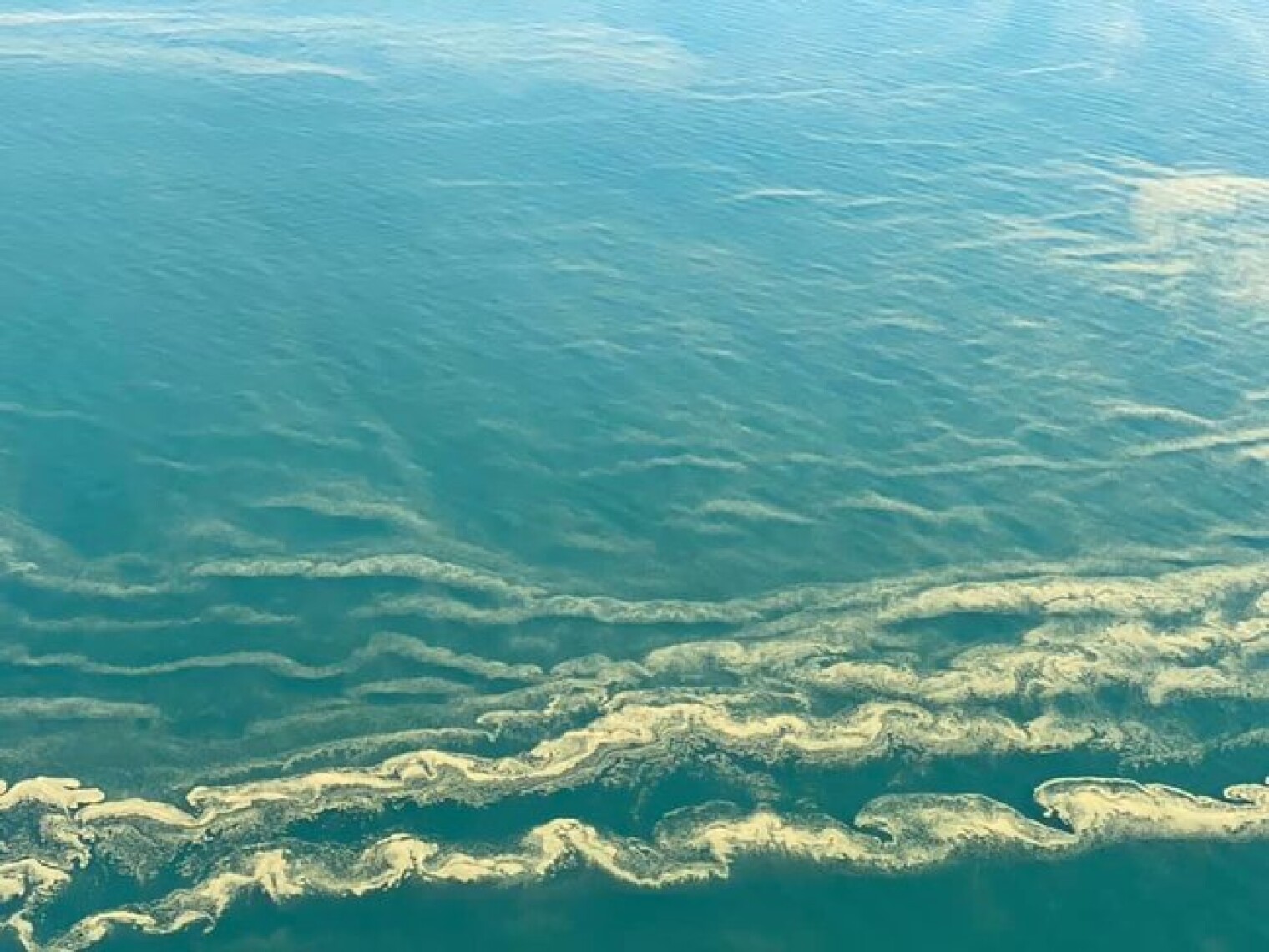 Вода смена. Одесса море зацвело. Черное море позеленело. Черное море зацвело. Черное море Одесса.