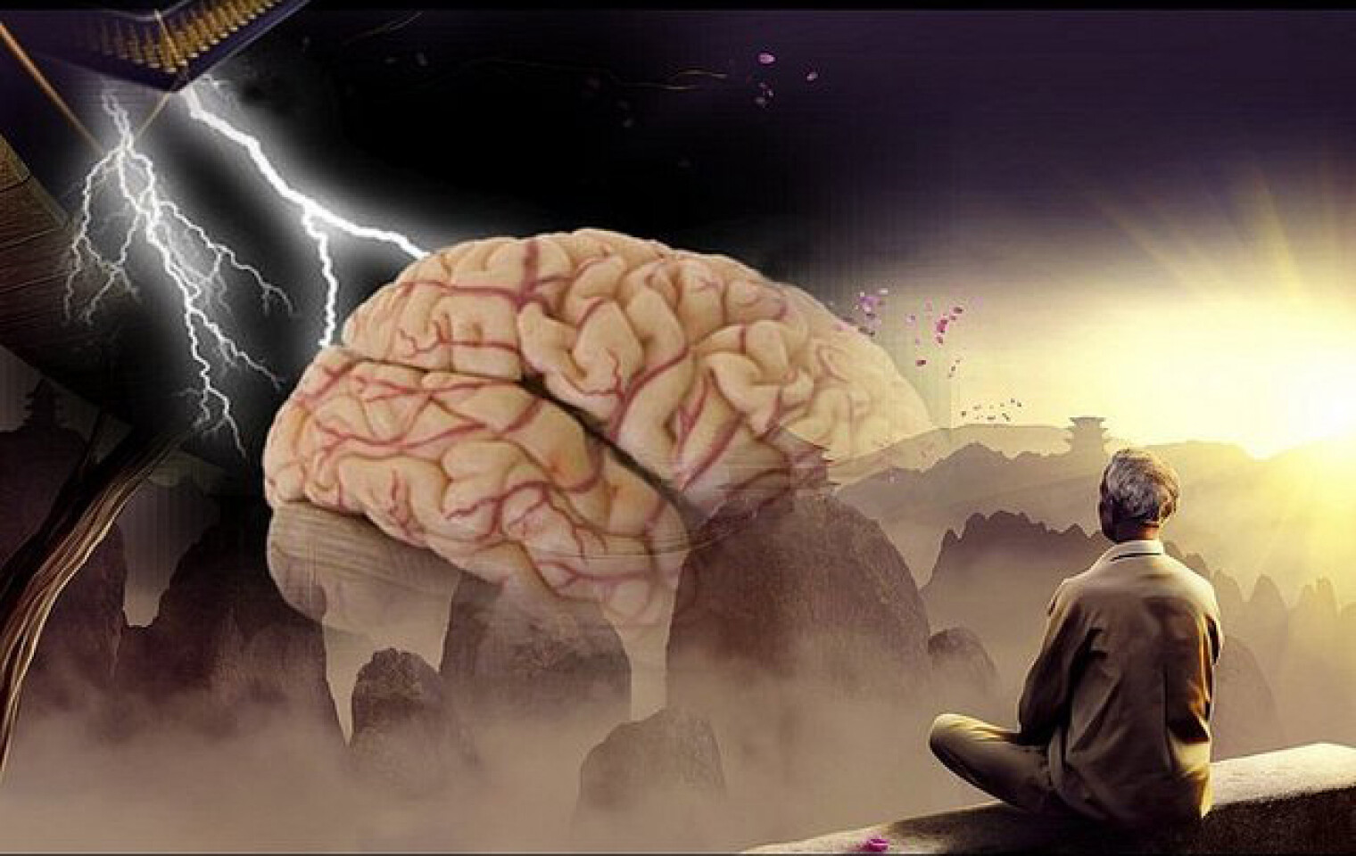 Brain 49. Мысли в голове. "Мозг и внутренний мир".