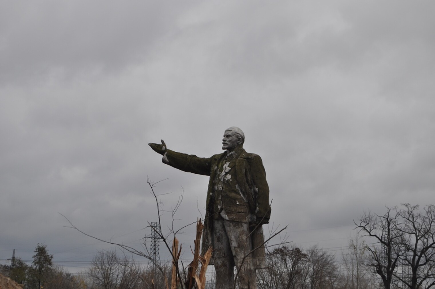 Зарастают памятники. Заросший памятник. Ленин в Киеве. Спрятавшийся памятник Ленину. Мох на памятнике.