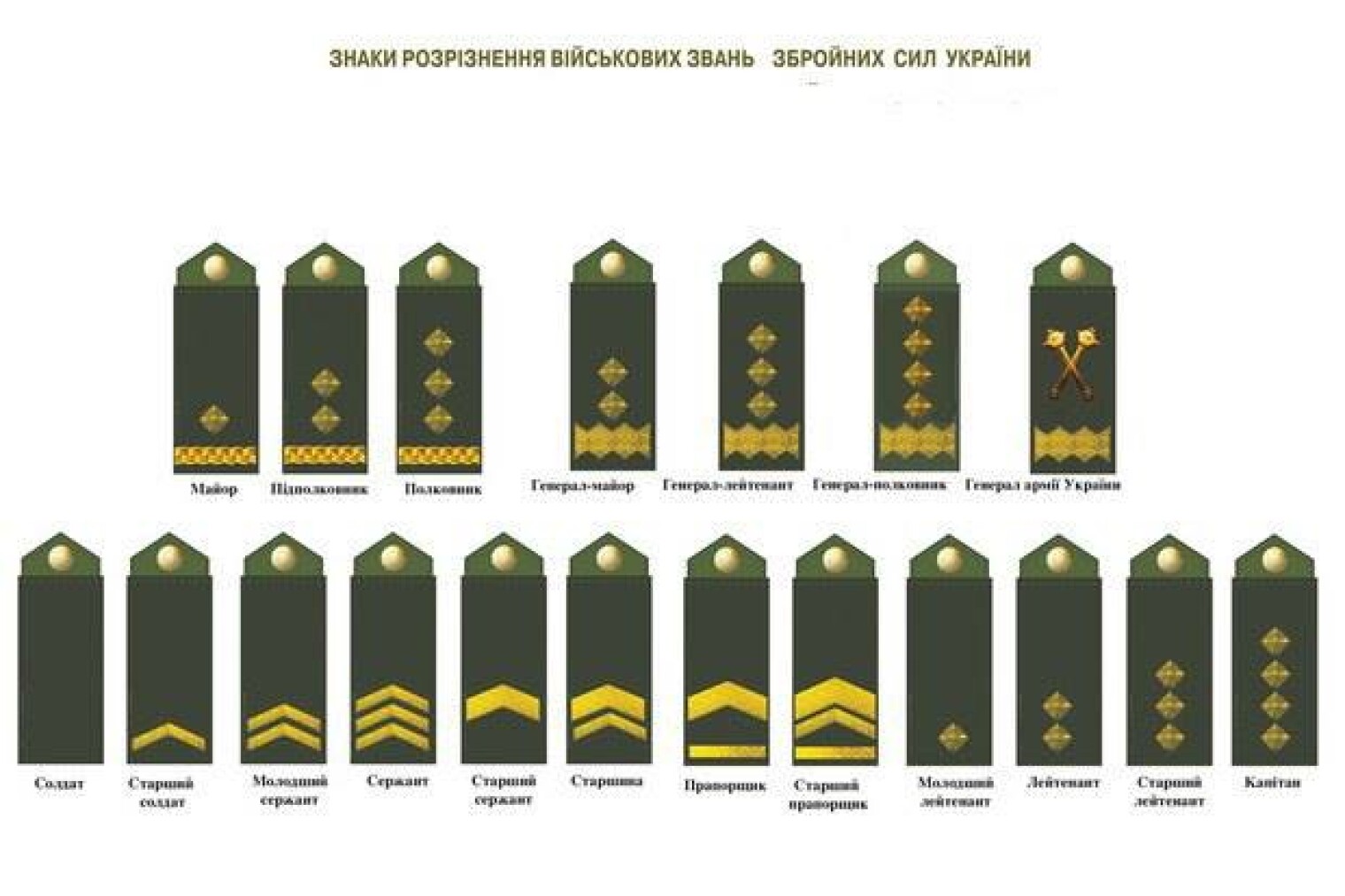 Различие званий. Погоны и звания в армии Украины. Воинские звания и погоны ВСУ Украины. Ранг военных Украины. Воинские звания в украинской армии.