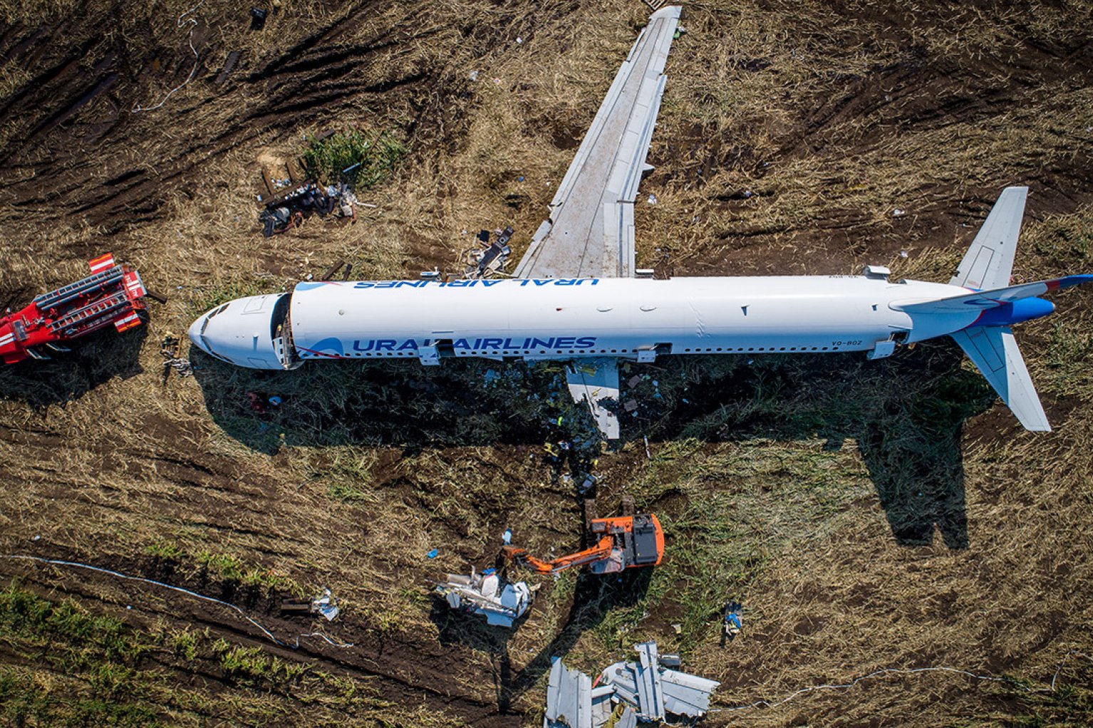 Самолет сел в поли. А321 самолет. Аэробус а-321. Боинг 321. A321 крыло.