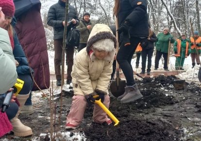 Рідні загиблих військовополонених у теракті в Оленівці висаджують кущі калини у Голосіївському парку Києва у пам'ять про полеглих бійців. 15 грудня 2023 року