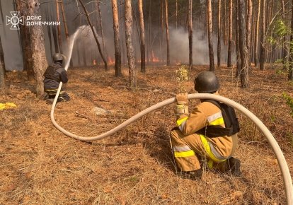 Лісова пожежа