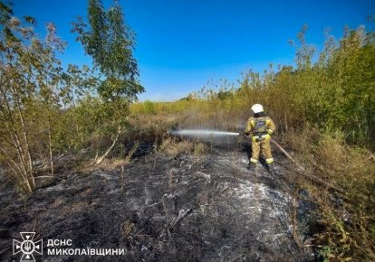 Пожар в Николаевской области