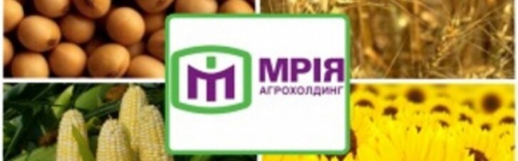 Агрохолдинг "Мрия" допустил технический дефолт