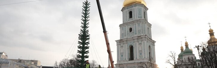 У Києві на Софійській площі почали встановлювати головну ялинку країни