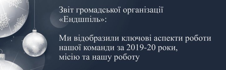 Звіт громадської організації "Ендшпіль": ключові аспекти роботи команди в 2019-2020 роках