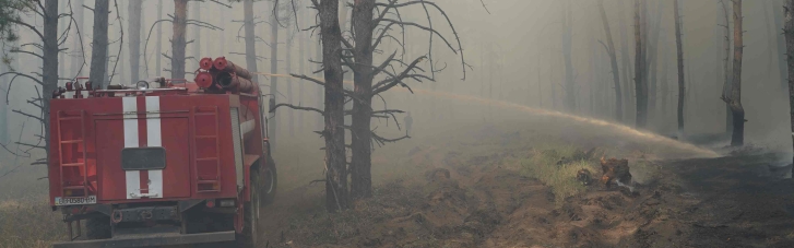 На Луганщине загорелся лес (ФОТО)