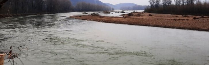 На Закарпатті з Тиси врятували трьох "водолазів", які хотіли втекти з України (ФОТО, ВІДЕО)