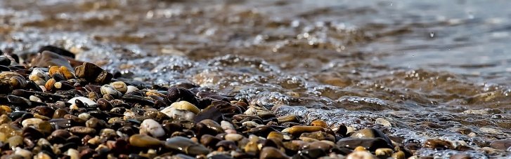 Забруднена вода в Десні може досягти Київщини 14-16 вересня, — Міндовкілля