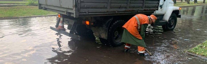 Поваленные деревья и оборванные провода: в Запорожье ночью непогода наделала бед (ФОТО)