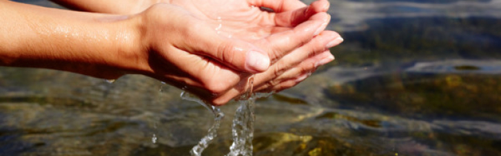 У "ЛНР" заявили, що вже виявили у воді хімікати з "запахом водоростей"