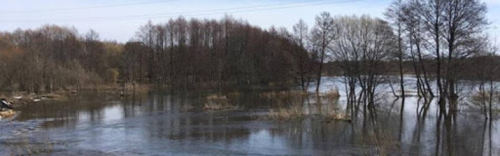 На заході України підвищується рівень води в річках: можливі підтоплення