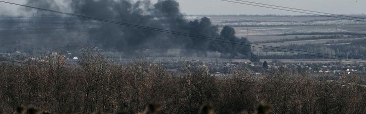 В Минэкологии назвали сроки восстановления лесов Украины после войны