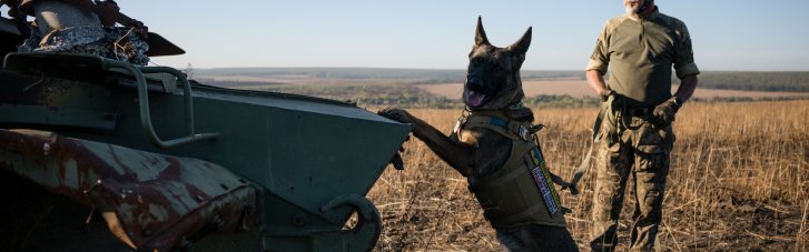 Сили оборони ліквідували 1150 російських окупантів та 6 танків за добу, — Генштаб