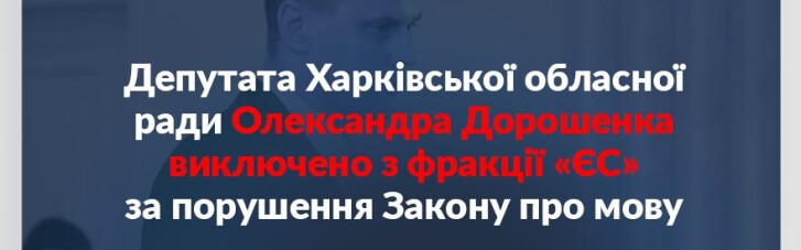 Депутата исключили из фракции "ЕС" за публичное выступление на русском языке