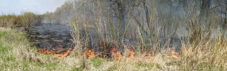 ДСНС оголосила надзвичайний рівень пожежної небезпеки у половині регіонів України