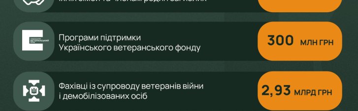 Держбюджет-2025: видатки на ветеранську політику становитимуть 10,7 млрд грн