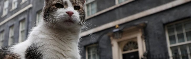 Після відставки Сунака владу в Британії захопив кіт Ларрі