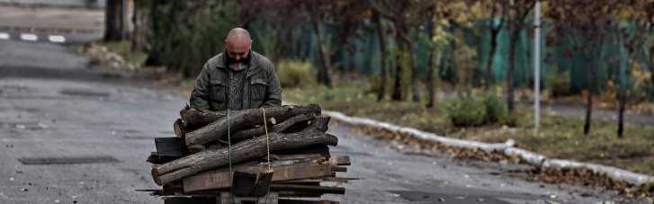 Штраф за кубометр дров: в "Слуге народа" заявили, что украинцы оболгали новый законопроект