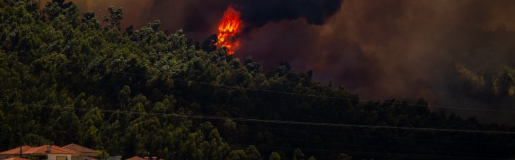 Україна зголосилася допомогти Португалії у ліквідації лісових пожеж