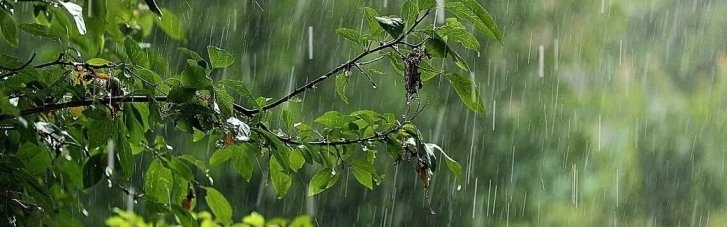 Погода в Україні 22 липня: у половині областей дощитиме, можливі грози (КАРТА)