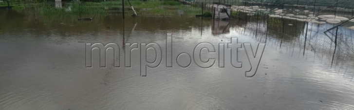 У Маріуполі через дощі затопило багатоповерхівки, городи, повалило дерева (ФОТО, ВІДЕО)