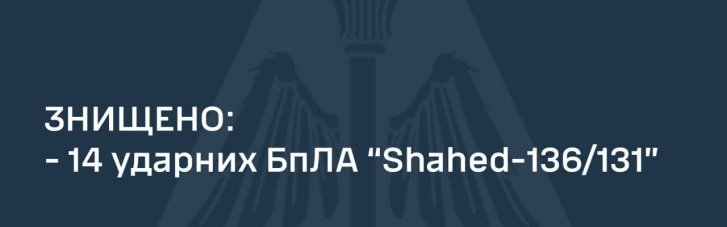 У небі 7 областей ЗСУ знищили 14 ворожих дронів