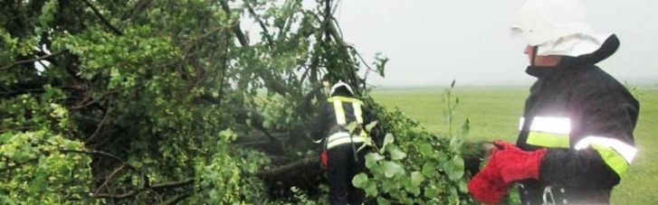 Негода у Хмельницькому: повалені дерева та підтоплені будинки (ФОТО, ВІДЕО)