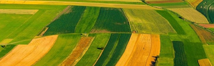 За три роки в Україні розпродали пів мільйона гектарів землі: по чому наділ