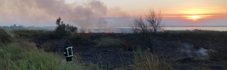 На Одещині згорів майже гектар очерету: підозрюють підпал