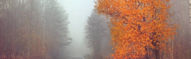 Погода в Украине 21 октября: на востоке пройдут дожди, на западе местами туман (КАРТА)