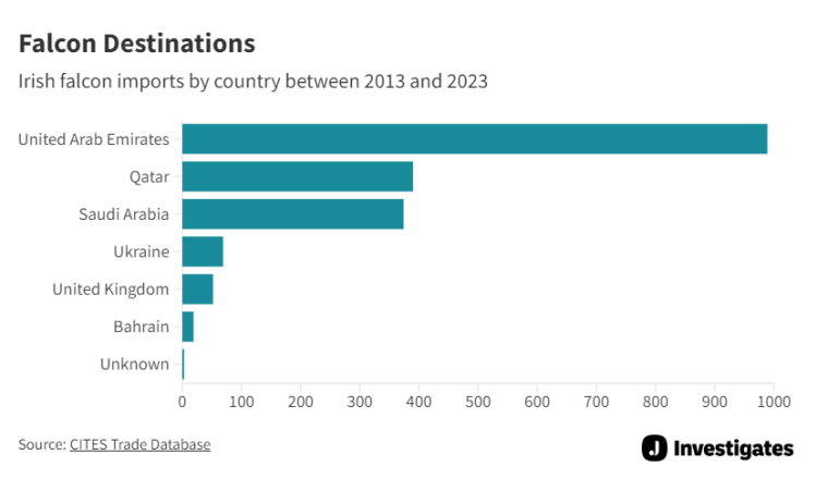 Топ країн за імпортом соколів з Ірландії у 2013-2023 рр.