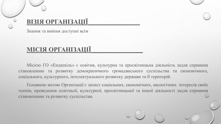 Звіт громадської організації «Ендшпіль» про роботу в 2021-2022 роках