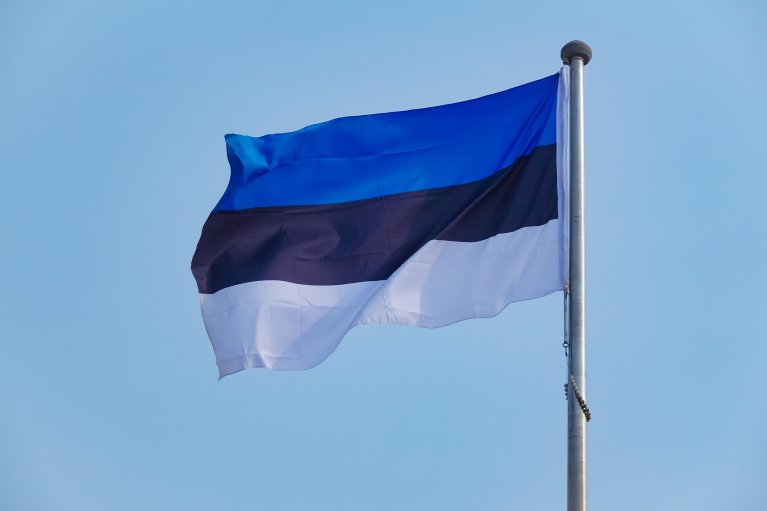 Уряд Естонії посилить контроль за вантажами на російському кордоні