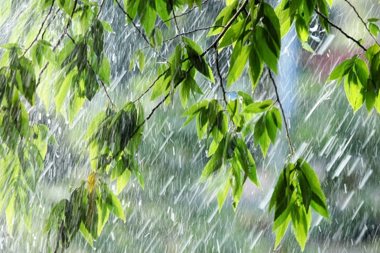 Погода в Україні 17 червня: дощі майже в усіх областях (КАРТА)