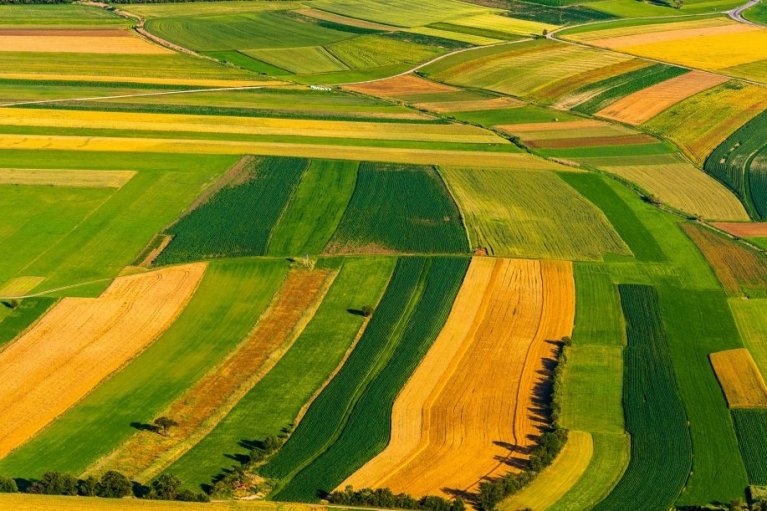 За три года в Украине распродали полмиллиона гектаров земли: по чему надел